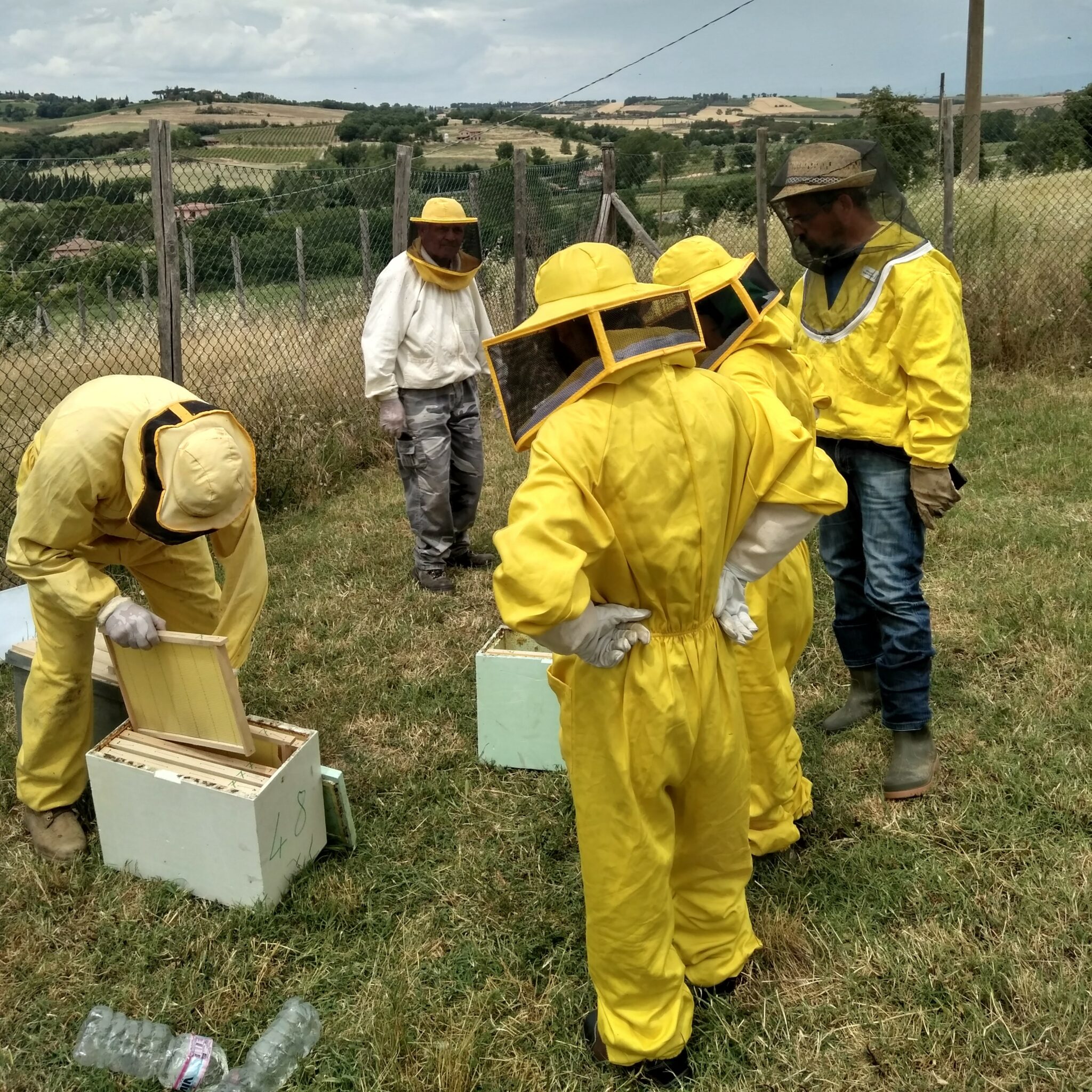 Bees keeping Umbria-Italy